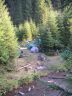 Skoro v�ichni je�t� sp�